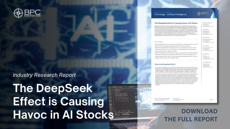 Industry Research Report - The DeepSeek Effect is Causing Havoc in AI Stocks