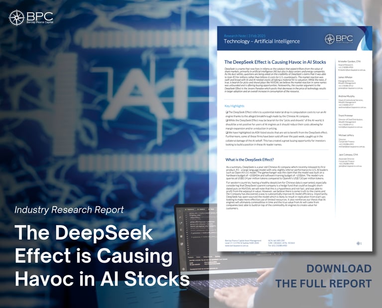 Industry Research Report - The DeepSeek Effect is Causing Havoc in AI Stocks